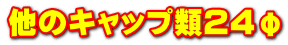他のキャップ類２４φ